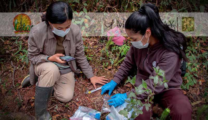 Perú concentra los corredores climáticos más importantes de la Amazonía occidental
